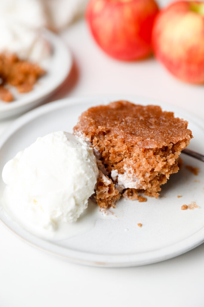 Close up shot of warm apple cider cake on a white plate with melting vanilla ice cream and apples setting behind.